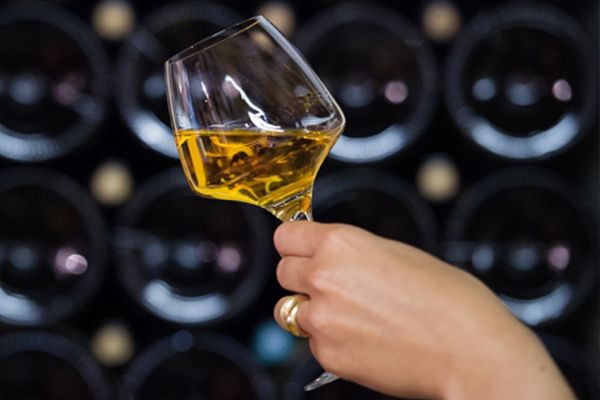 camping-angers-degustation-vins