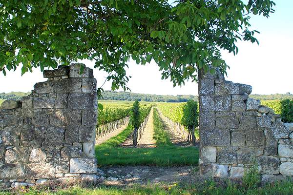 camping-angers-region-chateaux
